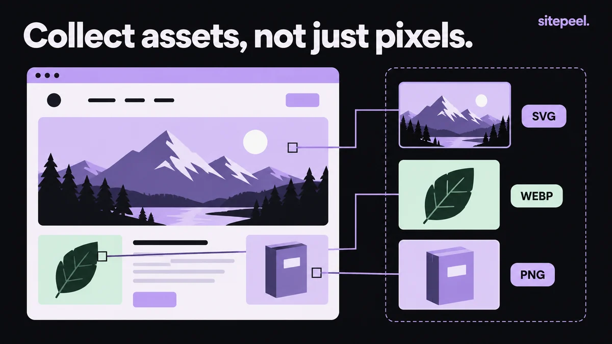 Distinct images in a webpage are located and collected as individual SVG, WebP and PNG assets.
