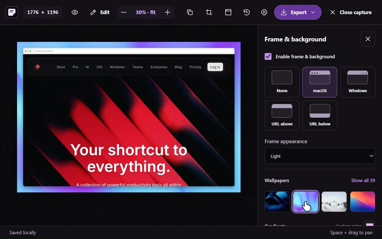 Website screenshot tool in the Sitepeel interface